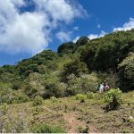 Flat land for development on historic Finca Solórzano property in San José, Costa Rica